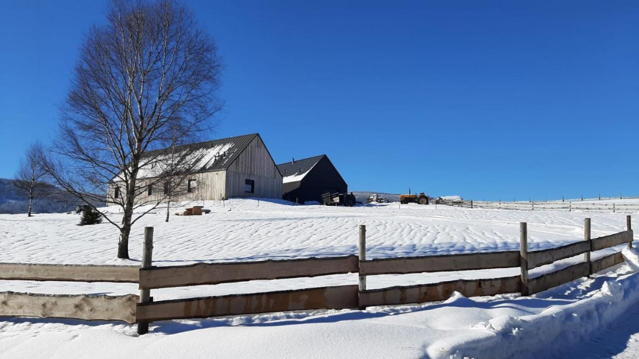 Wzgorze Owiec Sheep Hill Mostowice Eksteriør billede