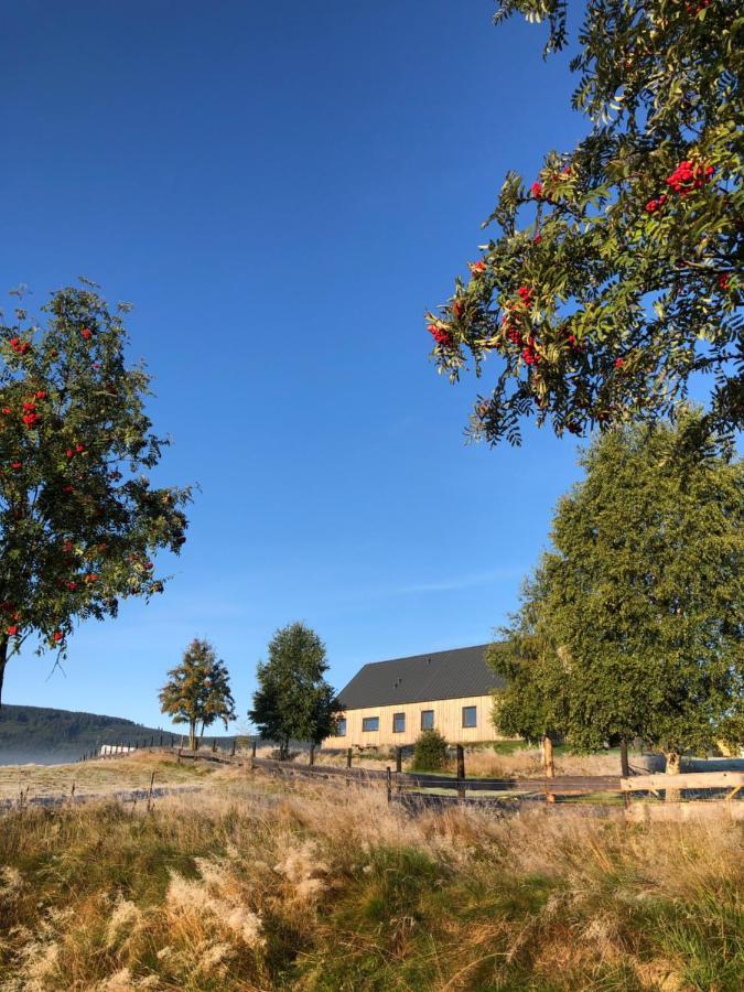 Wzgorze Owiec Sheep Hill Mostowice Eksteriør billede