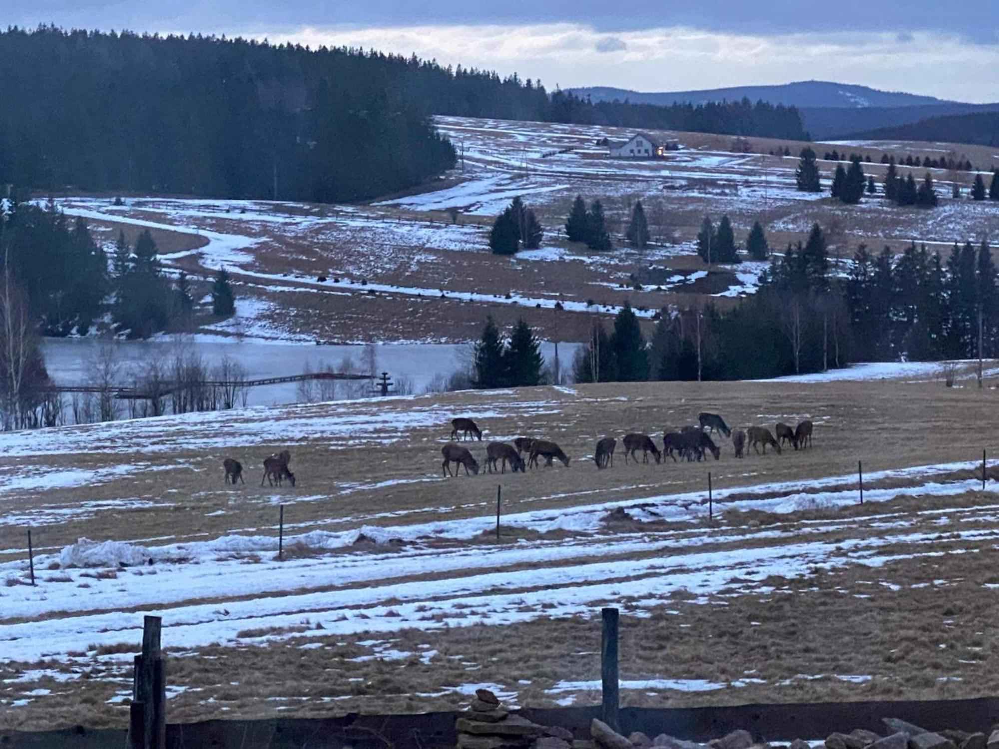 Wzgorze Owiec Sheep Hill Mostowice Eksteriør billede